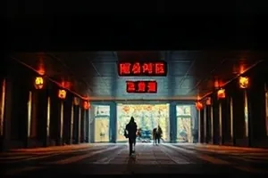 院墙内一株开得正盛的石榴花